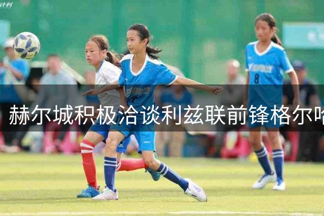 赫尔城积极洽谈利兹联前锋格尔哈特永久转会事宜
